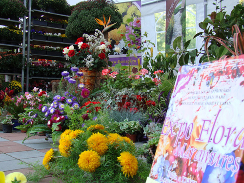 Foto: Expo Flora Baia Mare